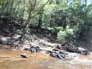 Cape York ... Creek  2