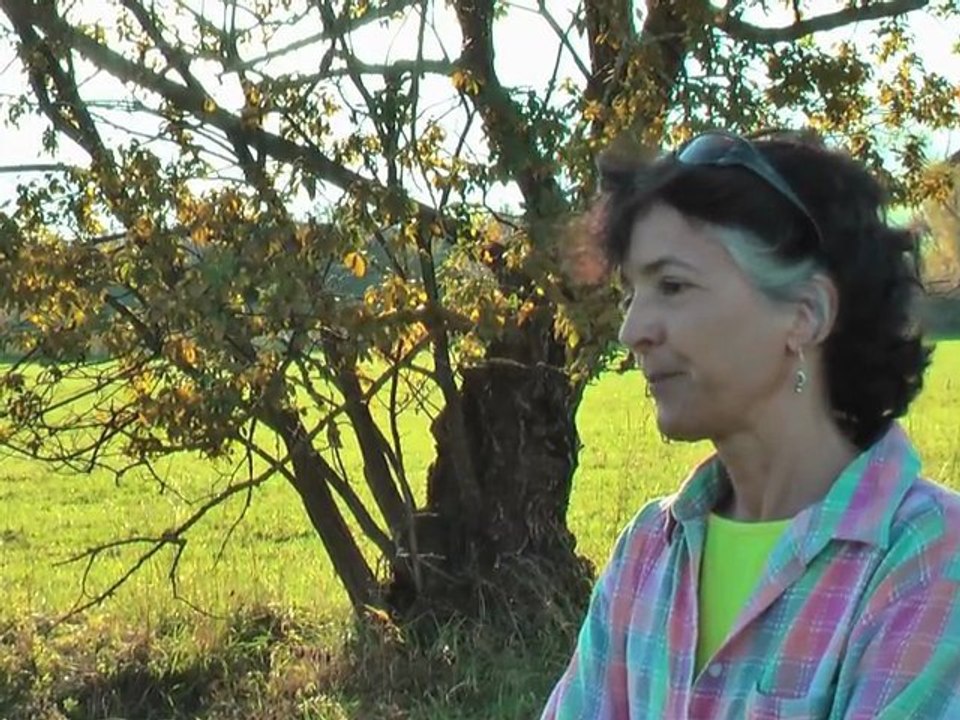 Biodiversité par Doris Angst