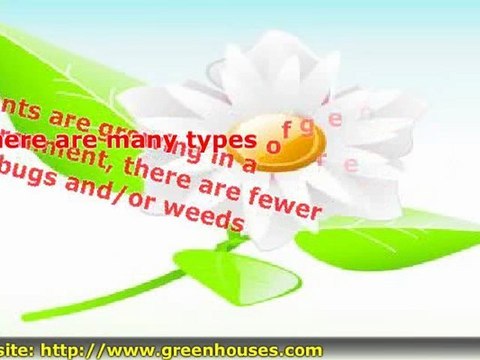 Many Benefits In Having A Greenhouse