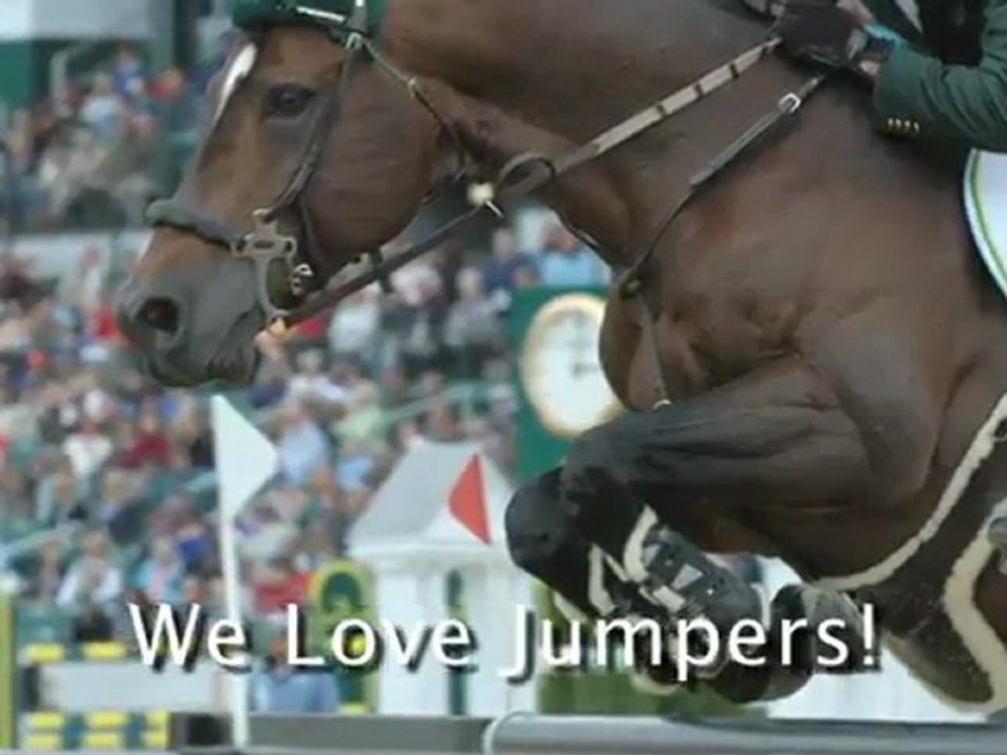Horse Jumps - Jumping Horses