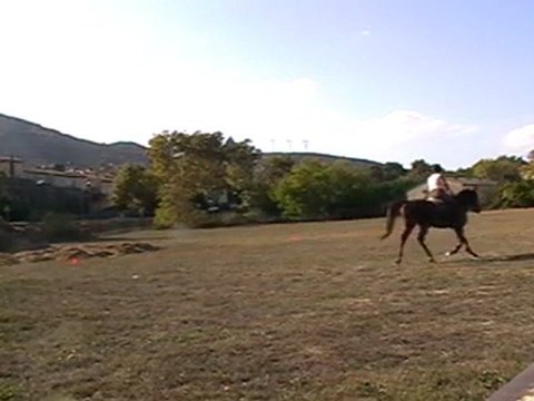 entrainement dressage club 2 cce