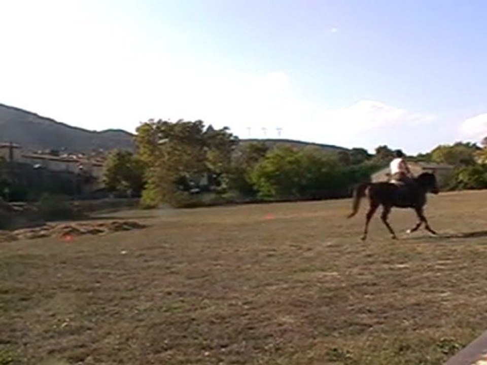 entrainement dressage club 2 cce