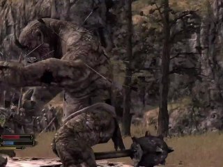 Le Seigneur des Anneaux : La guerre du Nord - Farin le champion nain