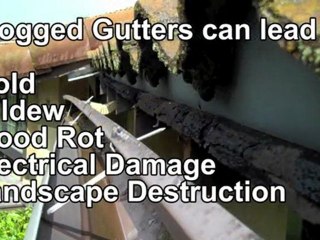 Berkeley Gutter Company