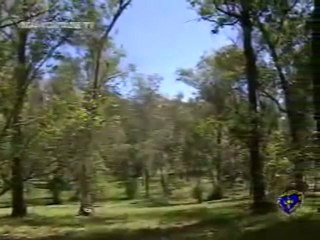 PAIVA NETTO - Não basta ser inteligente. A pessoa tem de ser Sábia! - RELIGIÃO DE DEUS