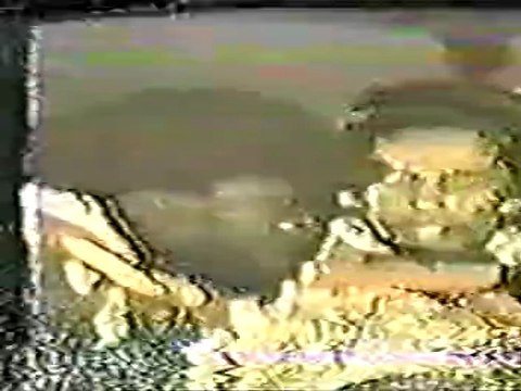 Bob Marley and the Wailers Ottawa Soundcheck 1979