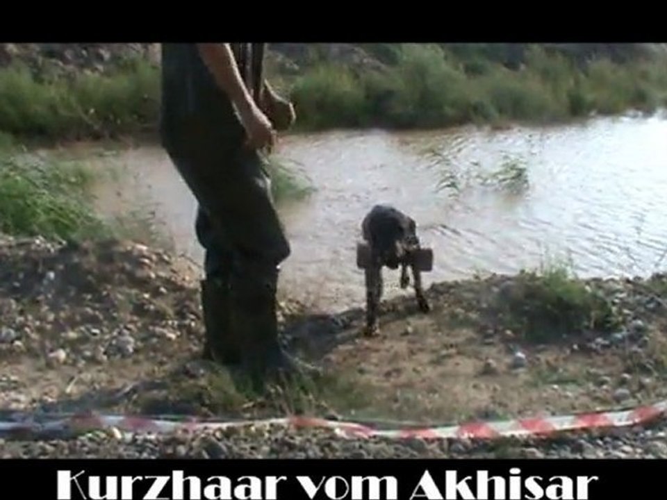 Kurzhaar vom Akhisar & 3 Derin Suda sahibiyle ilk Aport