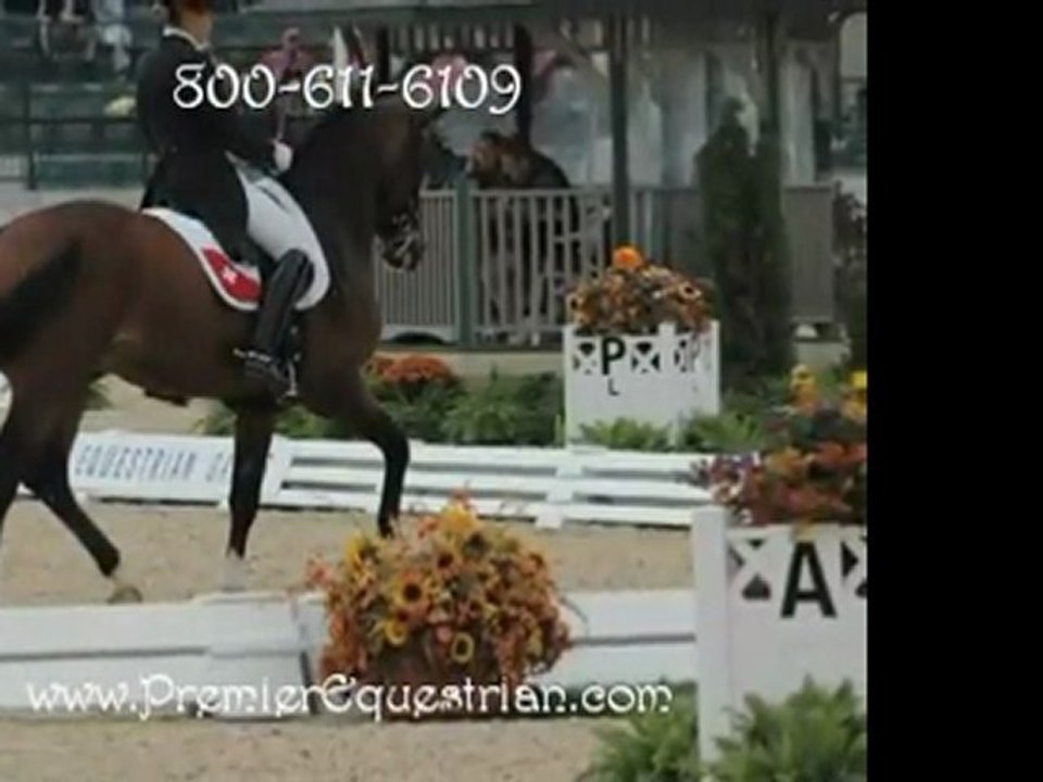 USDF On the Level- 2011 Dressage Tests