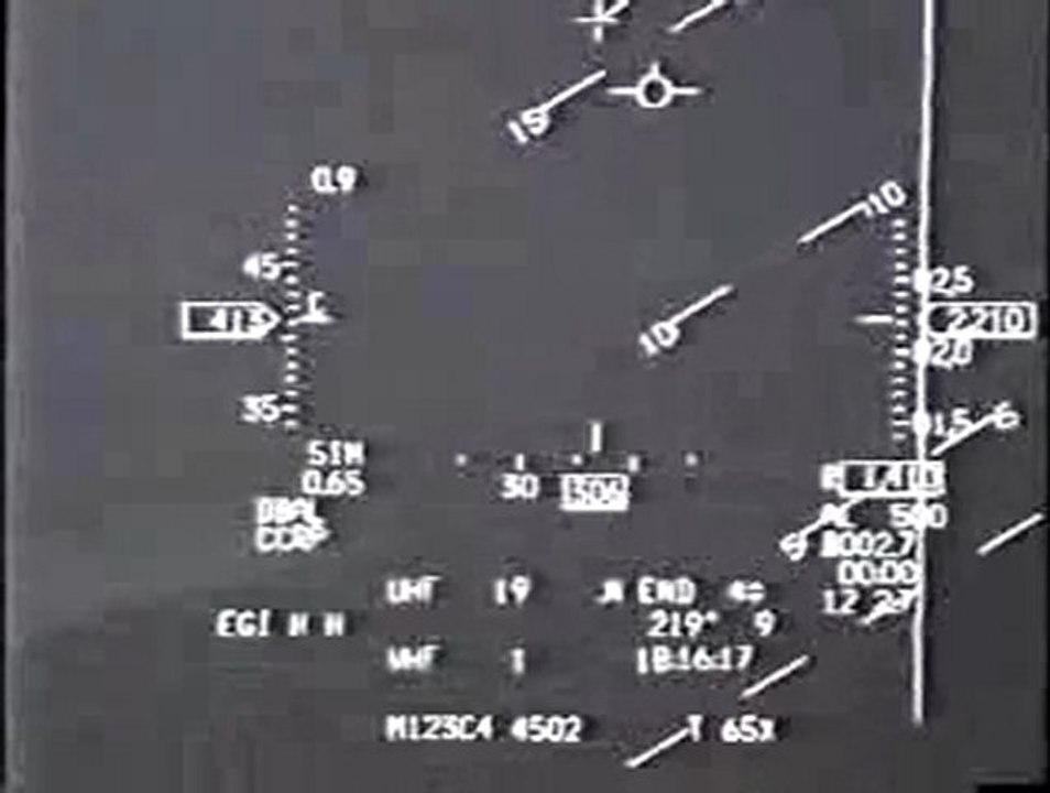 fighter jet near miss  bird strike