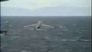 fighter jet takes off from aircraft carrier and hits water