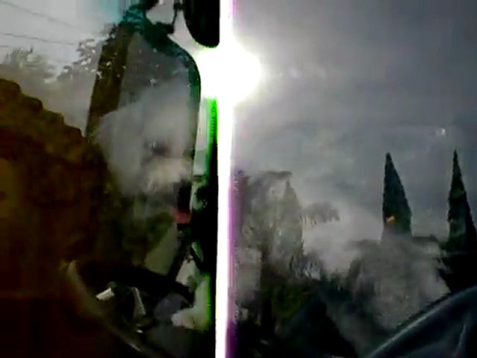 Manamoo the Horn Honker