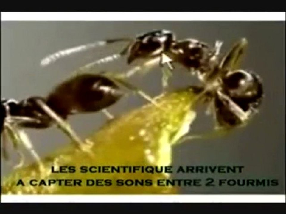 Conscience 45) L'Islam et la science 6-6