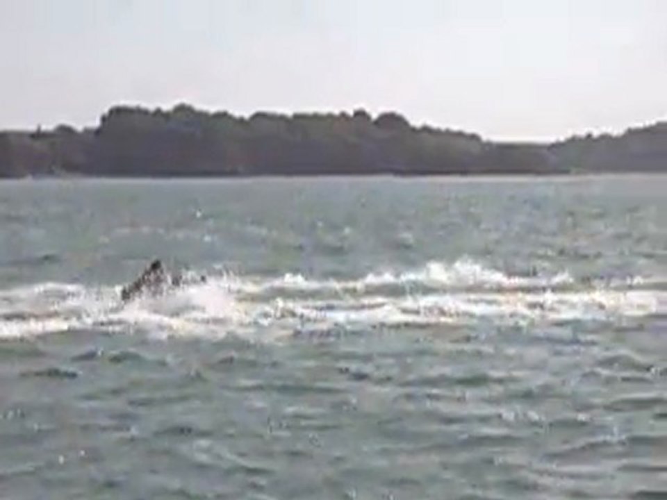 Erwan sur la bouée!