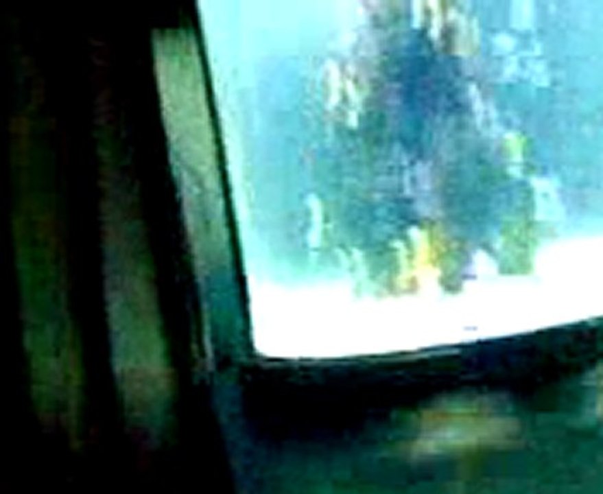İstanbul, İzmir, Ayvalık, Çeşme, Foça, Kuşadası, Selçuk, Efes, Bergama İngilizce-Norvecce Profesyonel Kokartlı Turist Rehberi ---Turkuazoo Aquarium, Istanbul, Turkey/// Turkuazoo Akvaryum, Istanbul
