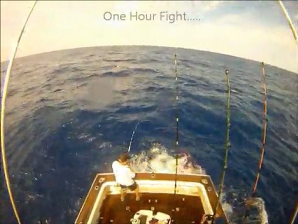 Wahoo on 3kg  Medium Res