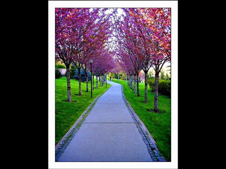 Kerem KÖSE-Ölünce Sevemezsem Seni