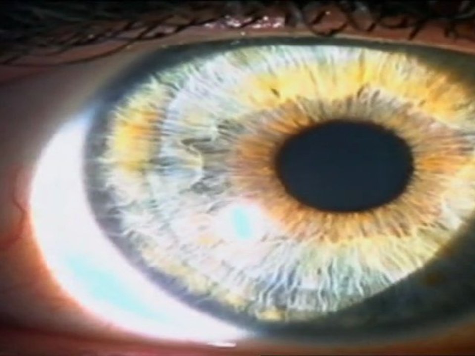 Incroyable Corps Humain