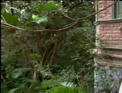 |2/4| AQUELE BEIJO - 21/10/2011 SEXTA-FEIRA [Cap.5] - 13edu13edu13.com