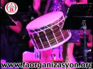 Fa Organizasyon Konser Festival Organizasyonları