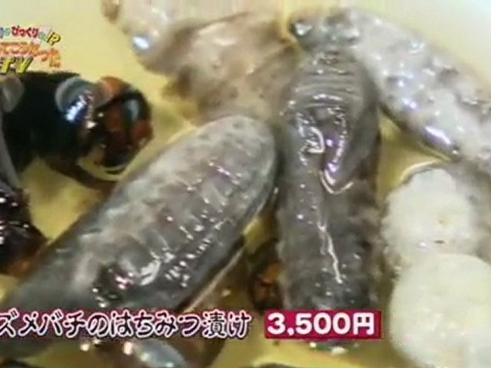 111022 ＜ＦＮＳソフト工場＞がっかりがびっくりに！？どうしてこうなったＴV 2