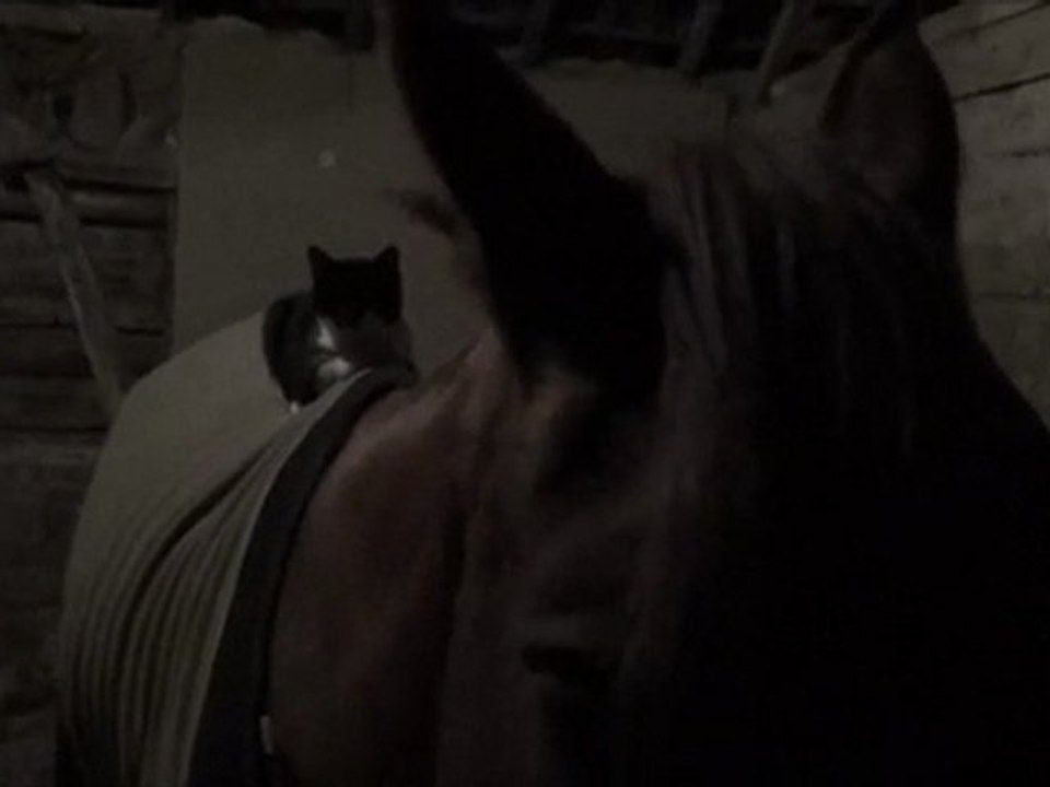 Rosalie - Gribouille