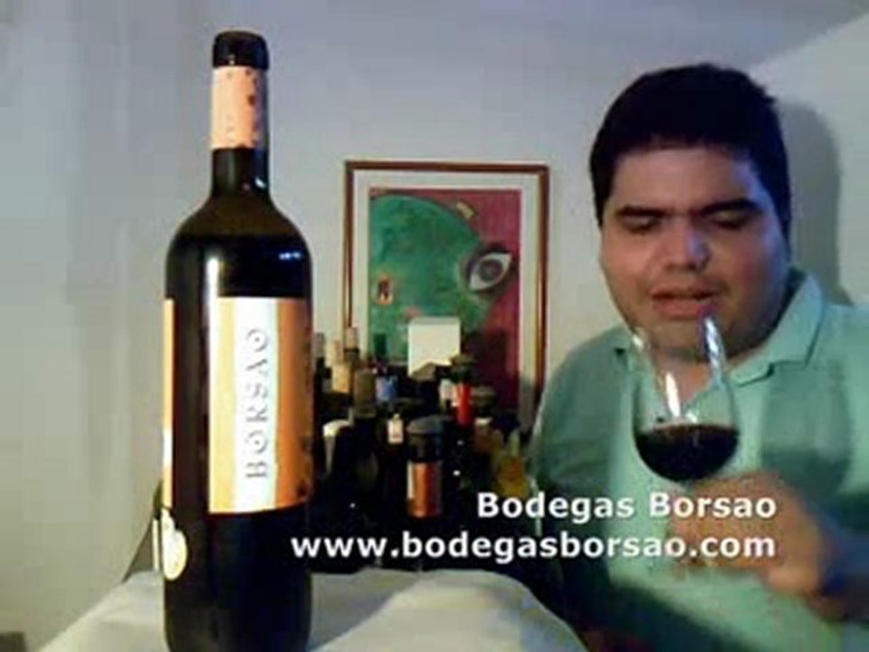 Bodegas Borsao Selección Tinto 2010