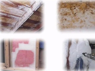 CareFreeTermite.com Phoenix Pest Control Experts