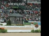 Dressage Arena - World Equestrian Games