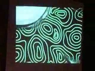 Colossalcon 2010 - Toonami Panel Set 2