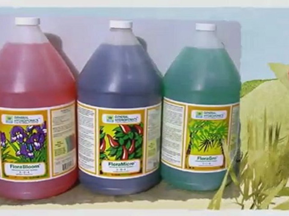 Indoor Hydroponic Garden | Steve’s Hydroponics Nova Scotia