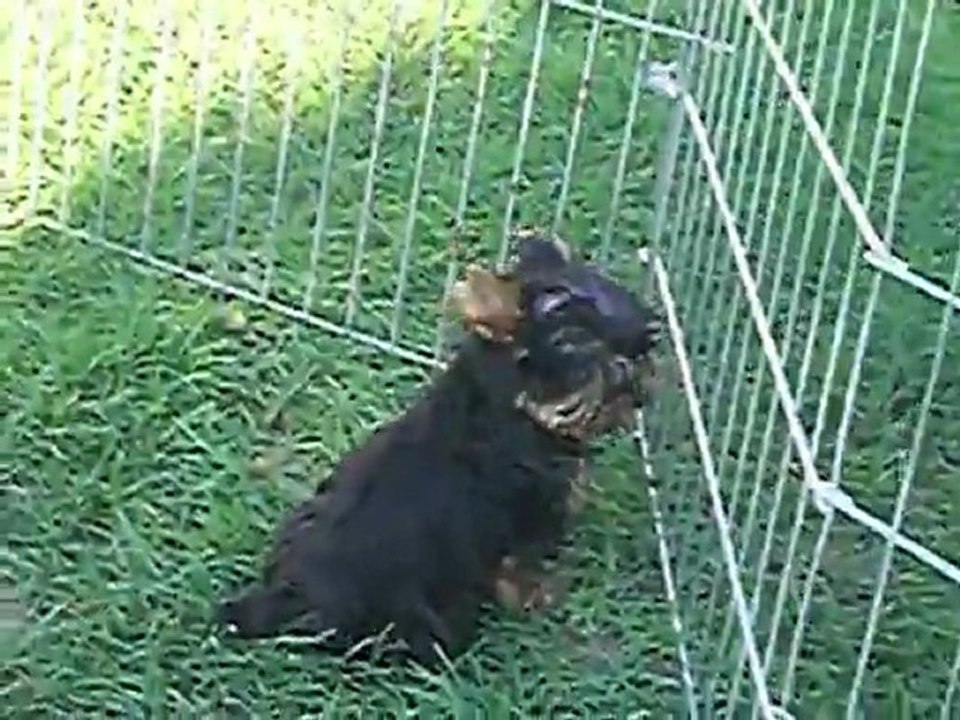 GUERLAIN 22 Oct 2011