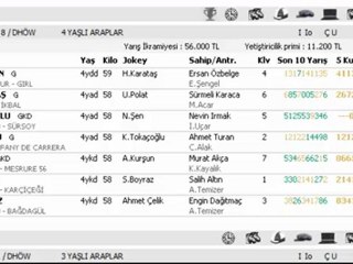 İSTANBUL YARIŞ YORUMLARI