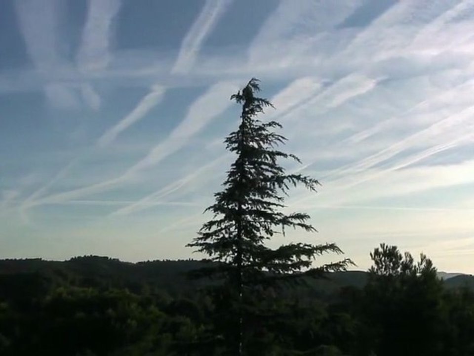 Bye Bye Blue Sky ➤ Version courte