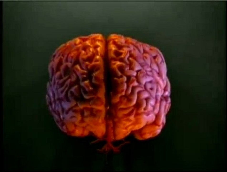 Harun Yahya TV - The excellent design of the sense of taste