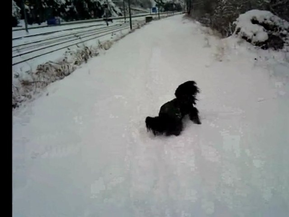 Souvenirs en vidéos