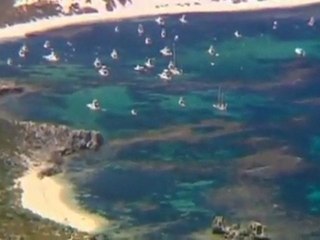 Shark kills American diver