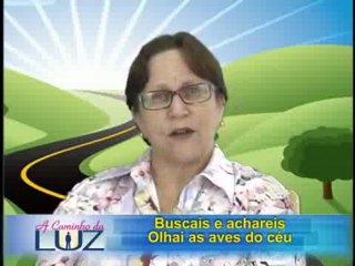 PROGRAMA A CAMINHO DA LUZ 78