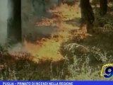 Puglia | Primato di incendi nella Regione