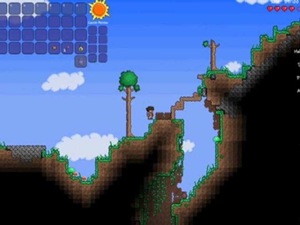 Video test Terraria