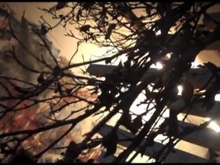 Nantes : Vernissage Aïb et impro rasta