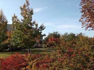 Jesień w parku Millenium