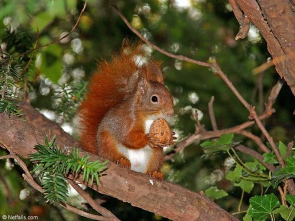 We and I  (Captain Kid cover)