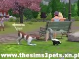 The Sims 3 Pets Download Game   Crack