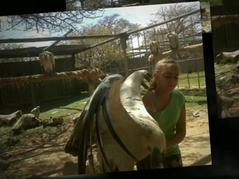 Laerskool Impala at Blyde River Canyon
