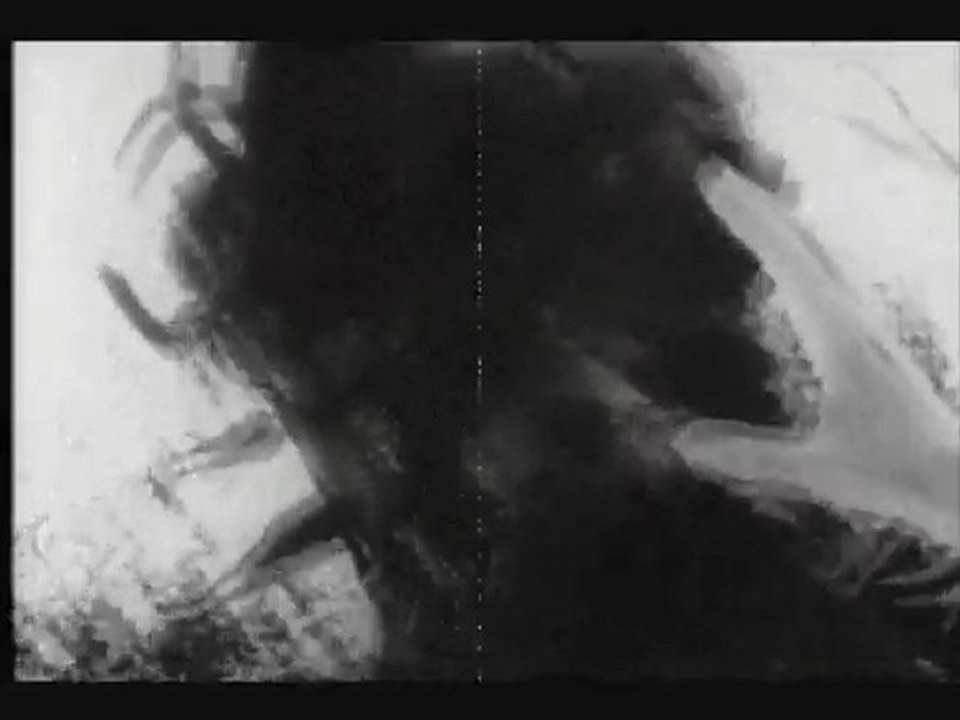 The Creeping Terror (1964) - Le monstre attaque