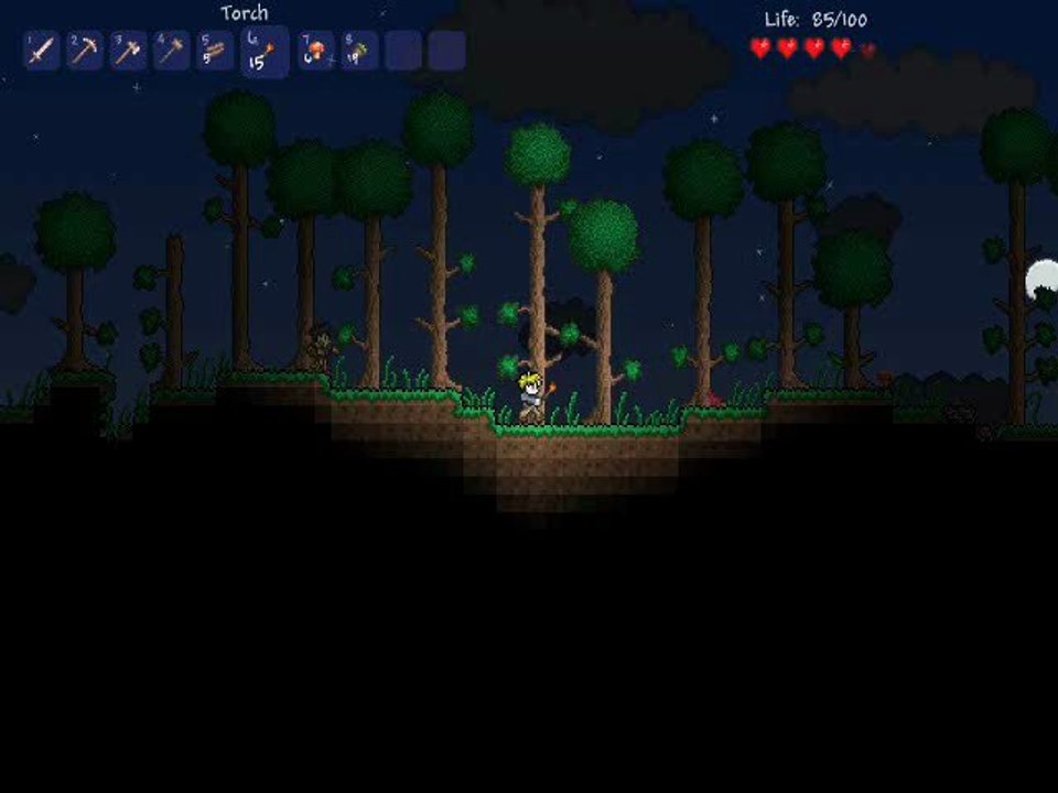 l aventure commence sur terraria (pc)