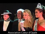 Miss Artois Cambresis Hainaut 2011 Le bonus