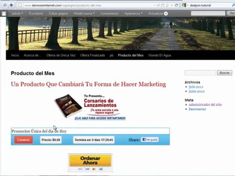 como usar el pluguing cupones de wordpress