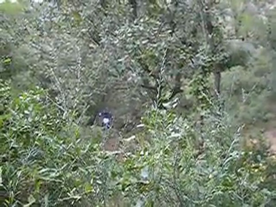 PA236893