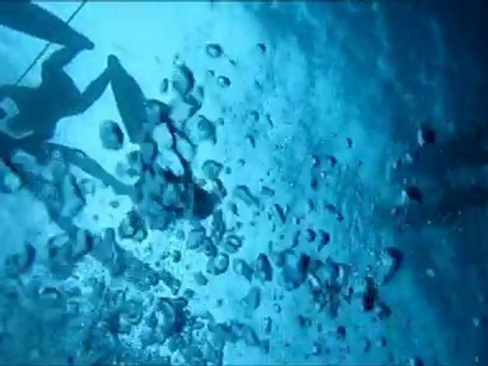 Recep Aslan Zıpkınla Balık Avı Kursu